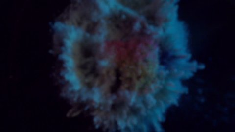 Colored particles fly after being exploded