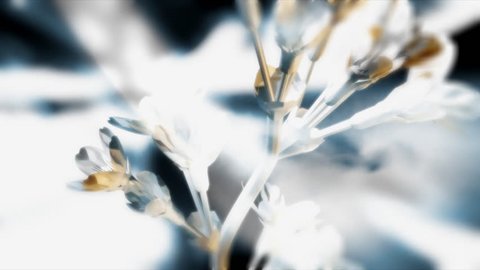 3d flowers, background - SEAMLESS LOOP Progressive Frame HD