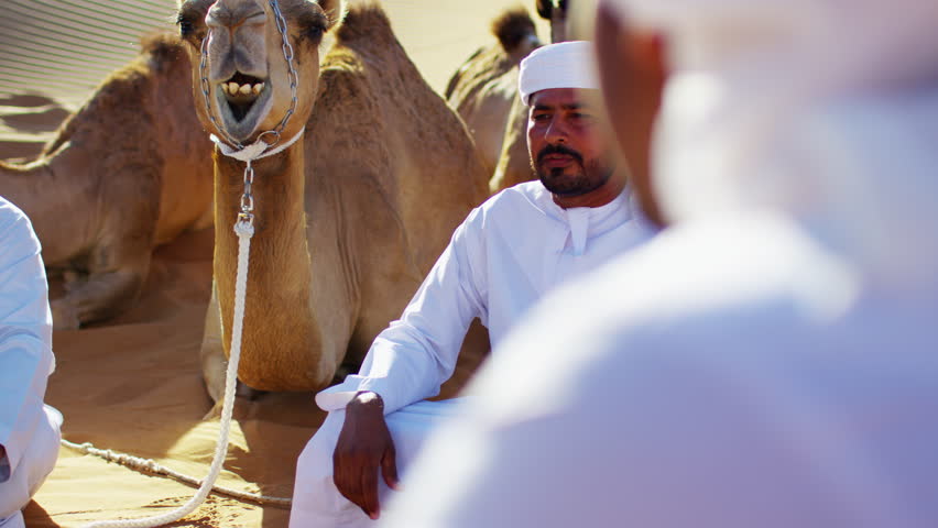 Camel caravan train travelling across a Middle Eastern desert