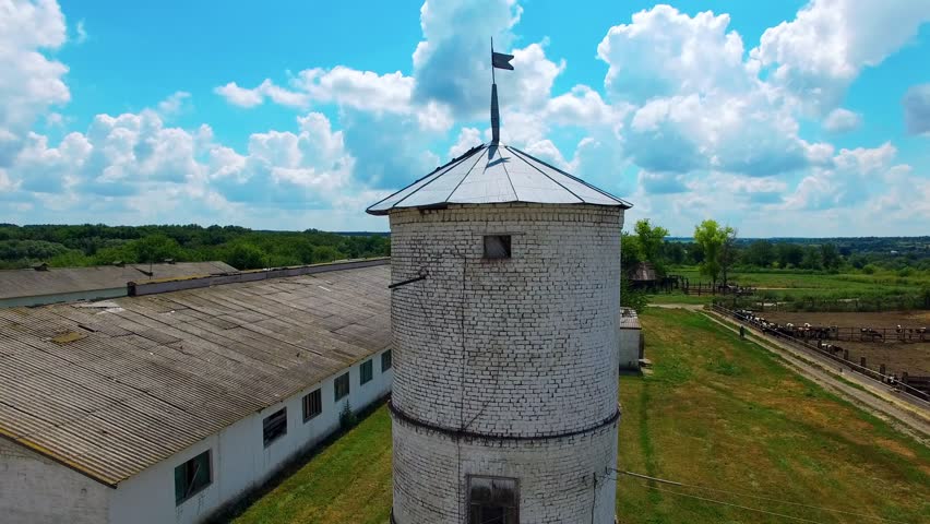 farm, cow, barn, aerial