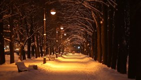 Empty alley at winter park in perspective, straight way illuminated with lanterns at night time. Empty bench, snow drift beside walkway. Tall wayside trees branches hang over passage - Powered by Shutterstock - Get 15% off with code: PIKWIZARD15