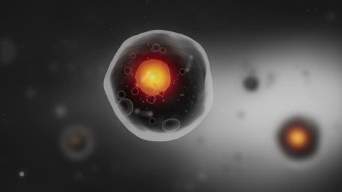 Human cell with nuscleus animation