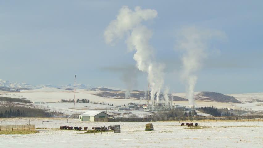 Gas processing plant and cattle on a cold winter day in Alberta, Canada