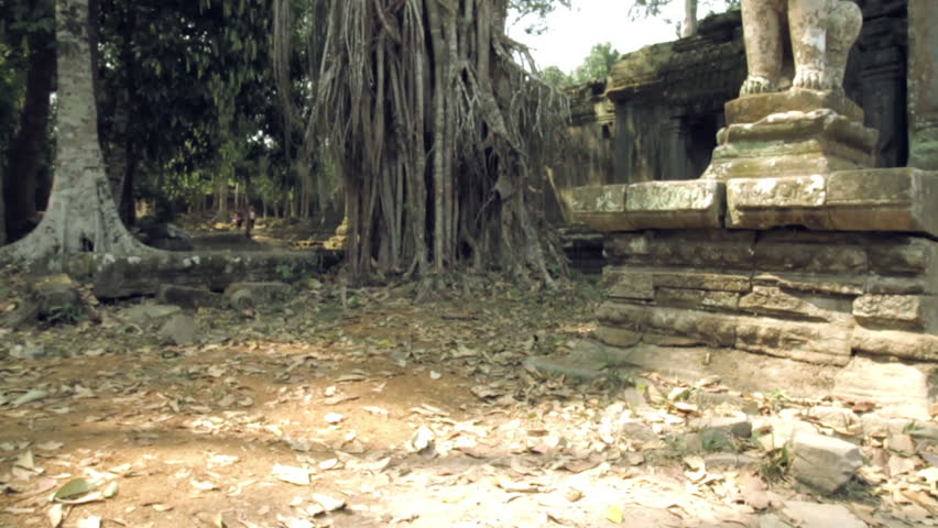 Jungle Temple Ruins And Banyan Stock Footage Video 100 Royalty Free Shutterstock