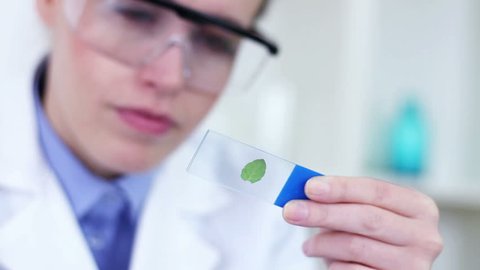 Female scientist with magnifying glass looking at glass slide with green leaf