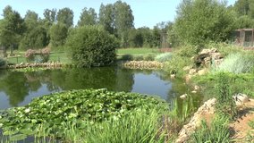 Decorative pond in garden