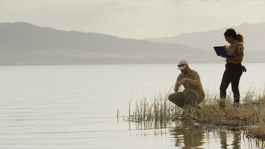 Wide shot of park rangers collecting water sample from lake / Vineyard, Utah, United States