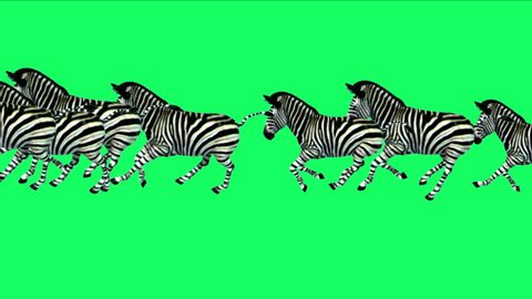 4k Group horses donkeys zebras animals silhouette migration running,Africa grasslands nature background. 4628_4k