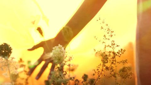 Beautiful young woman walking on field with wildflowers, enjoying nature outdoors. Touching flowers, Raising hands up. Over sunset sky Slow motion 240 fps. Full HD 1080p