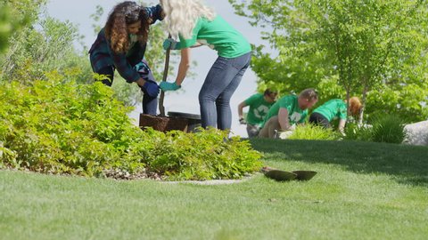 Medium low angle view of volunteers planting tree / Cedar Hills, Utah, United States