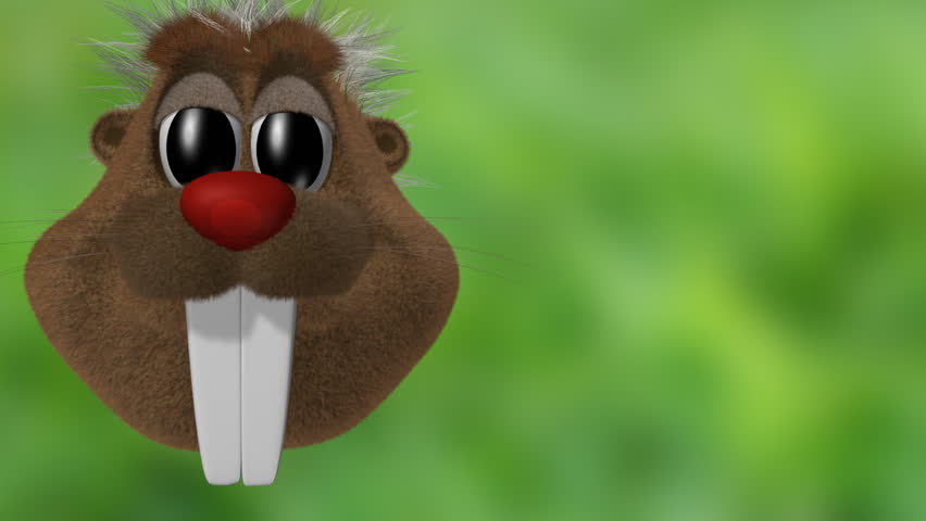 Beaver character looking at the side of the screen.