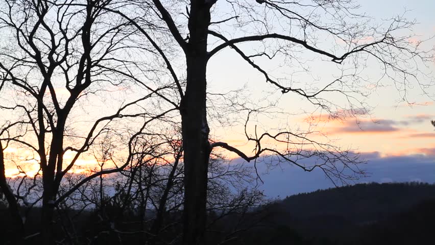 winter Clouds and trees, timelapse
