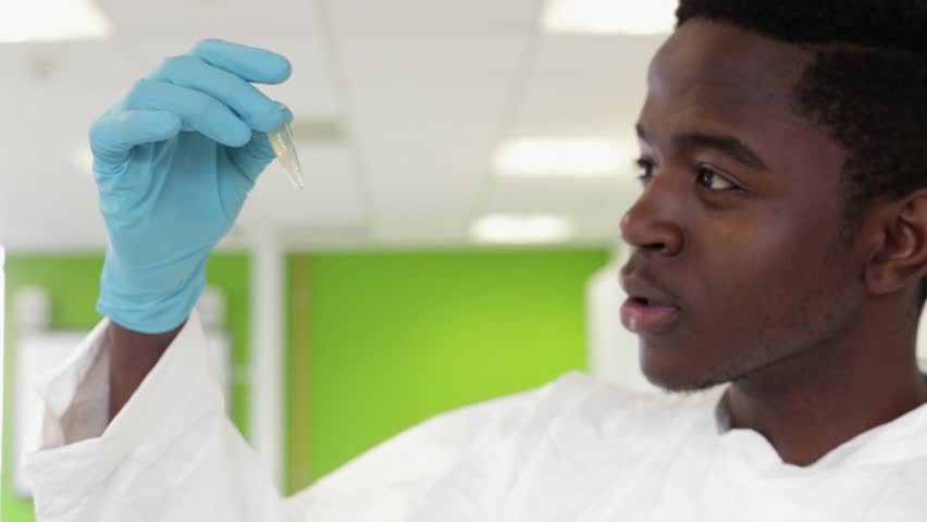 Scientist In Laboratory Inspecting Sample