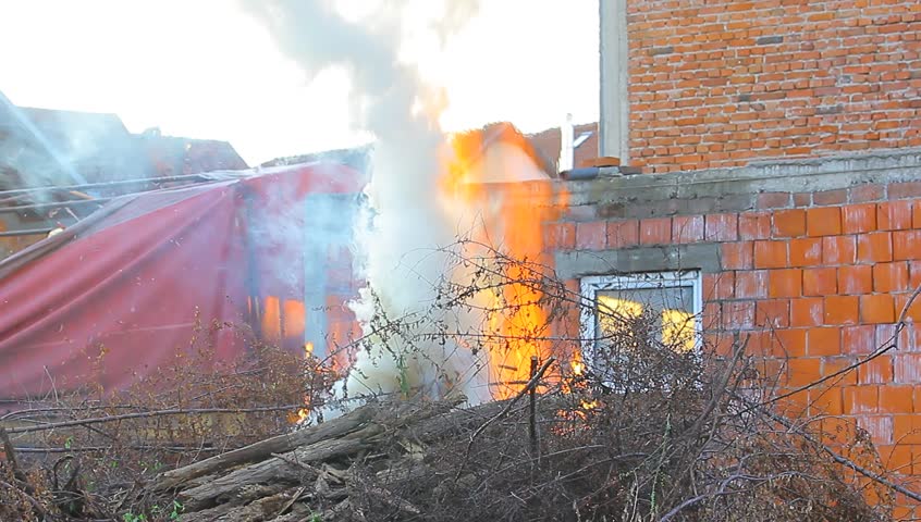 Burning bush