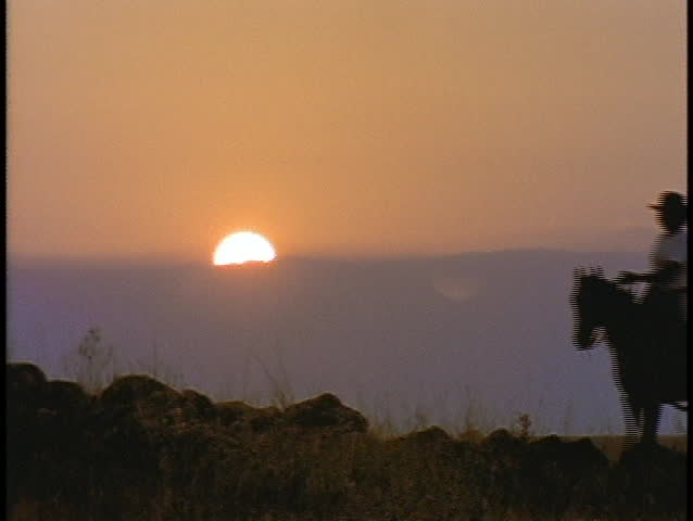 A horseback rider rides a horse during golden hour.