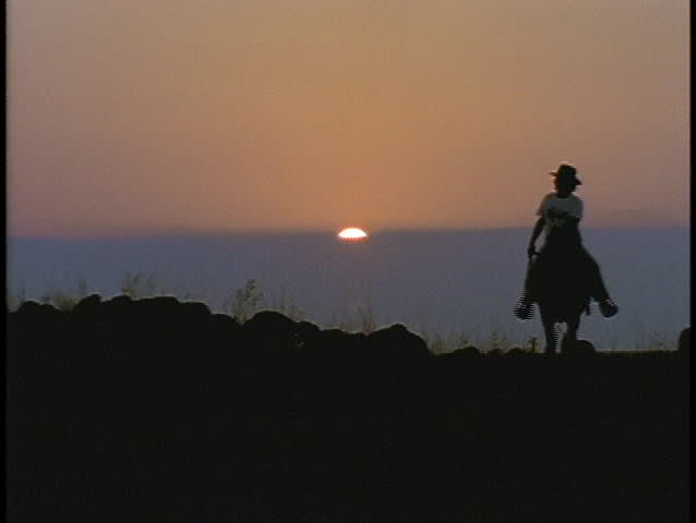 A horseback rider rides a horse during golden hour.
