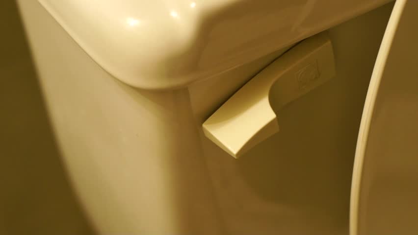 A toilet is flushed by a hand pushing the flush lever.