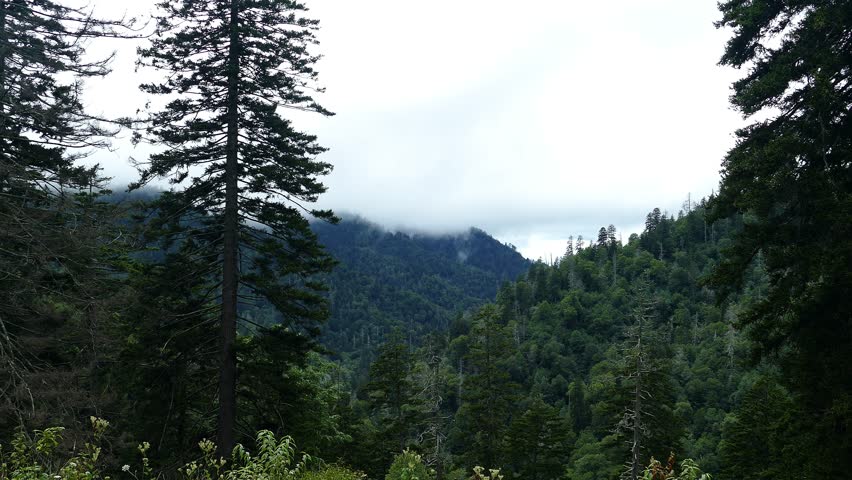 From Great Smoky Mountains National Park, Tennessee 