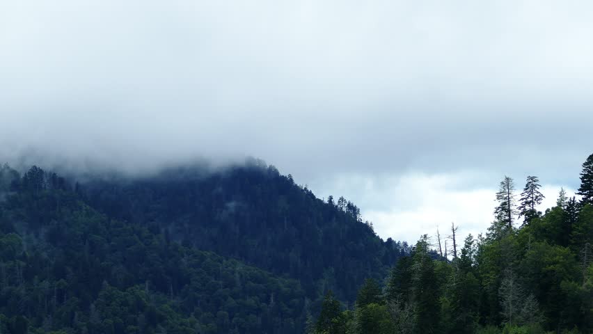 From Great Smoky Mountains National Park, Tennessee 