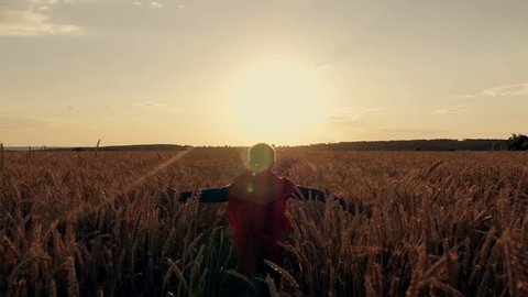 Boy with a superman cape stands in a golden fields looking to the horizon Video de stock