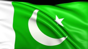 Pakistanian national flag waving in the wind - background animation for home videos, vacation movies, business presentation and DVD or Blue-ray disc menues