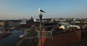 Drone close-up video of Baltic Seagull, vane on old building and Helsinki old town skyline