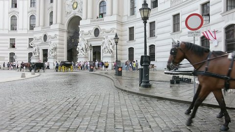 August 16, 2016,    carriage horses in Michaelerplatz in Vienna