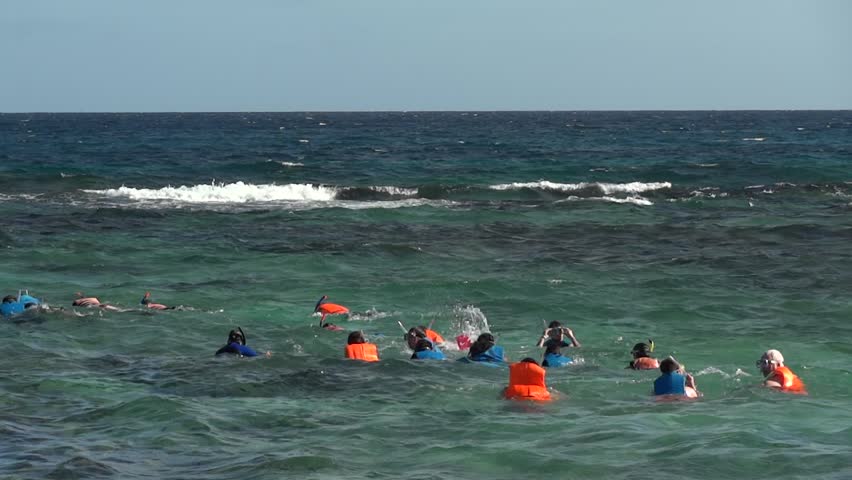 Tourists practicing scuba snorkeling in sea water.