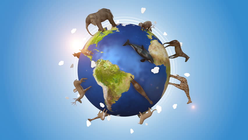 Orbiting Earth Covered By Wild Stock Footage Video 100 Royalty Free Shutterstock