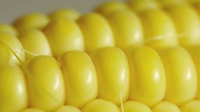 Close up video of injection in corn - Powered by Shutterstock - Get 15% off with code: PIKWIZARD15