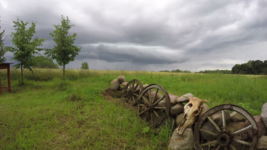 Cow skull on stones with wooden wheels and rain clouds with drops, 4K 
