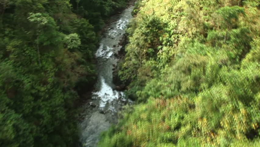 HD: Aerial shot of winding jungle river