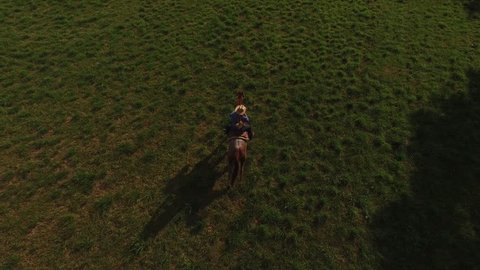Aerial view of woman riding horse in field