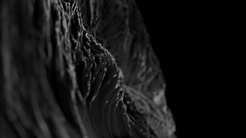 CG close-up Fractal abstract background animation with depth of field. Seamless loop. Black and white.