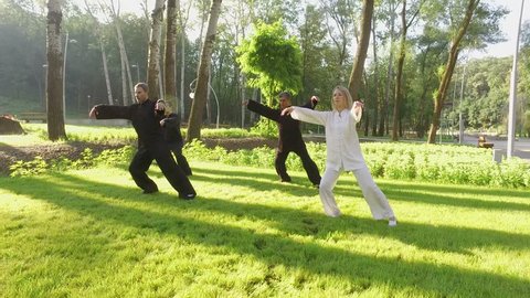 Training in the park. Workout. Group of four people practicing the elements of qigong. 4K