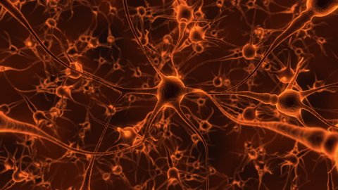 Zooming Brain Neurons Through Female Eye Stock Footage Video (100% ...