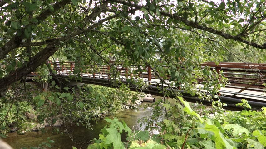 Tourists walk over the footbridge at the Issaquah, Washington fish hatchery.  	