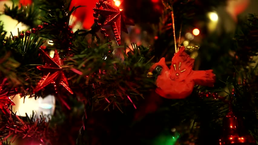 Decorations on a Christmas tree.