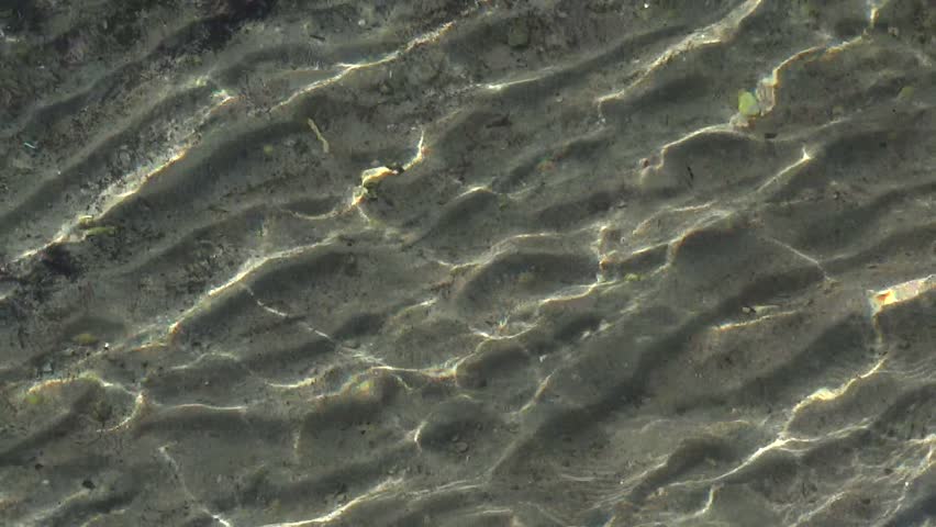 Close-up of calm transparent water. Can be easly used as background.