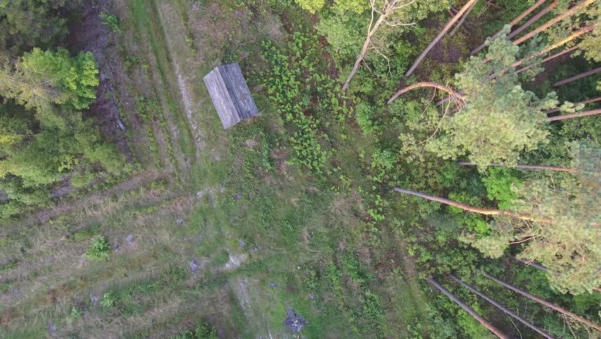 Top view of house on roof edge of forest. Aerial Video