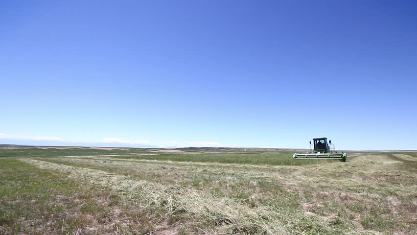 Thresher cuts down crops in a Montana farm field
