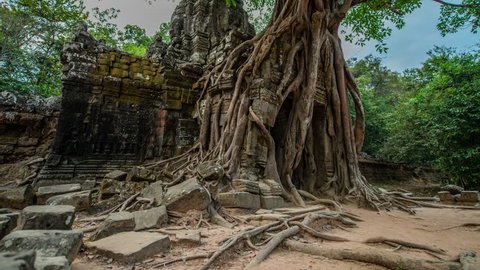 Nature reclaiming the ruins of the Ta Som temple, temple among the Angkor complex of temples, near Siem Reap, Cambodia