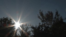Time lapse of sun rising over tree line on clear, blue sky day, captured in 4K. Speed clip duration up for more dramatic time lapse.