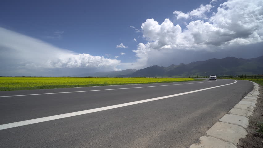SUV car driving beside rape flower field, Qinghai,China