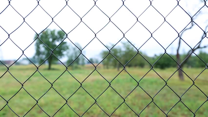 the nature of the metal grid. green field and trees in the background, without video processing