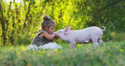 Slow motion of a little girl caresses and kisses a piglet on a green meadow surrounded by the nature. sustainability and a love of nature, respect for the world and love for animals.concept of vegan