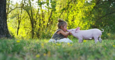 vegetarian child kisses a little piggy piglet on the nose.
concept of nature and love for life and respect.
concept of sustainability and renewable energy. 
vegan happy in nature and life. piglets