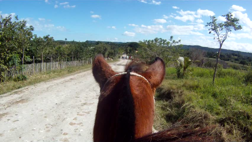 Point of view of riding a horse.