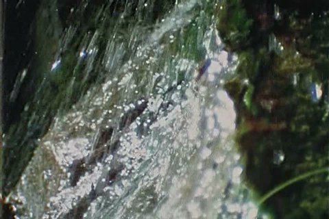 weeping willow tree rain heavy slow Stock Footage Video (100% Royalty ...