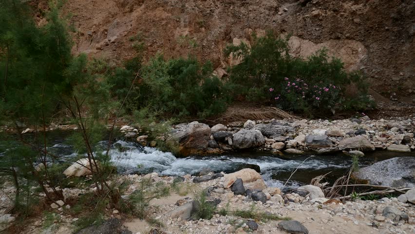 the Man in the Characteristic Jewish Garb Looks Into the Distance. Jew Comes From the Bottom up Along the River, Jumps on a Rock and Looks Around. Mount Nebo. Amman Royalty-Free Stock Footage #19136137
